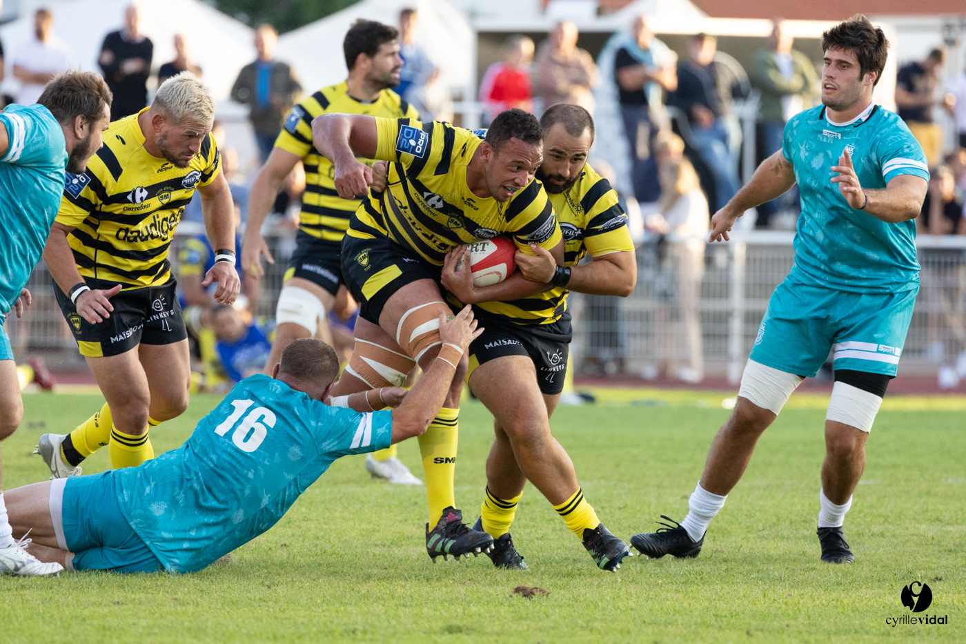 Dax - Stade Montois Rugby