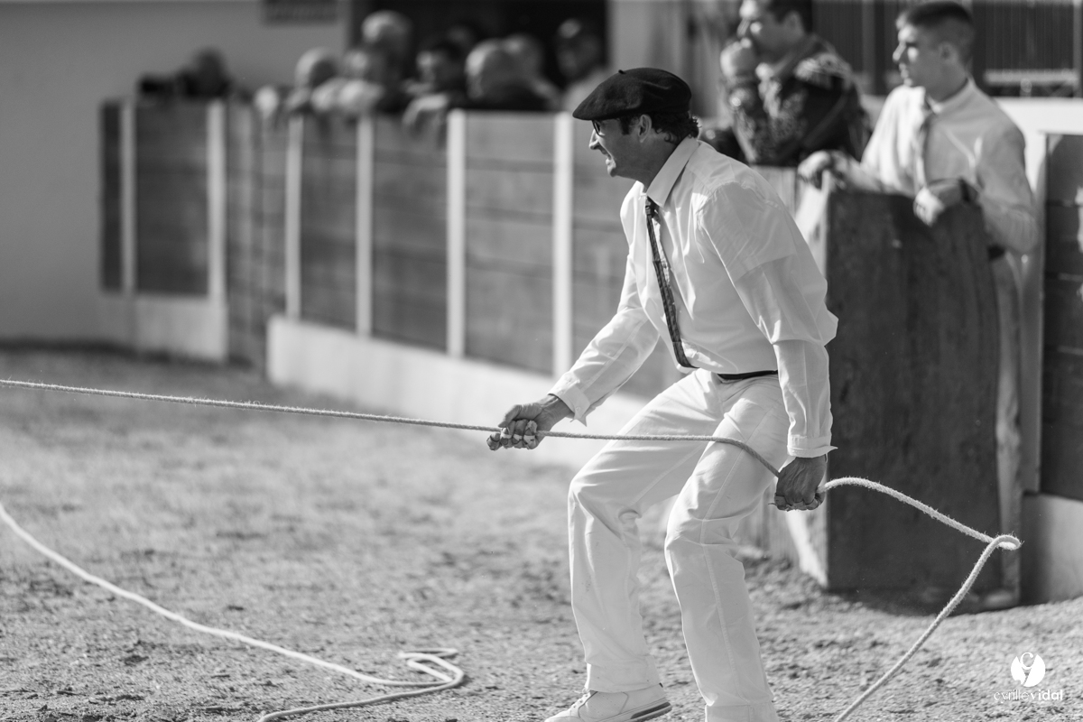 Course landaise Le Houga Ganadéria Dussau Cuadrilla Alexandre Brethes