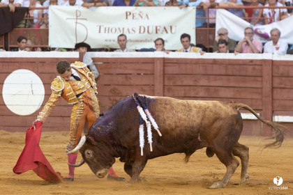 Corrida de Villeneuve-de-Marsan