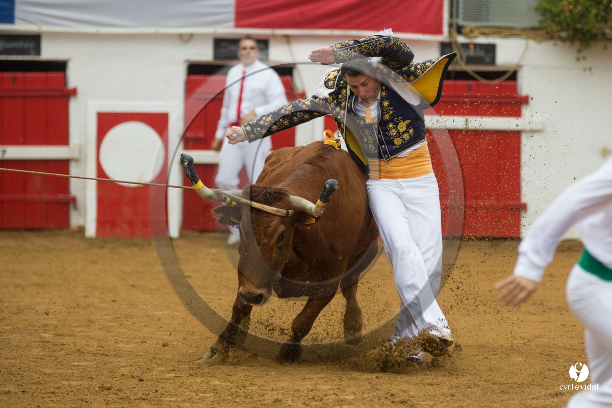 Nogaro Championnatde France de Course Landaise 2017