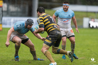 Bayonne - Stade Montois