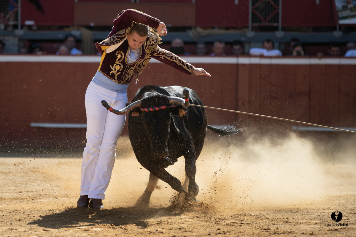 Mont-de-Marsan championnat de France de course landaise 2019