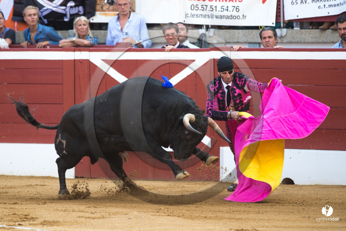Mont-de-Marsan corrida de Jandilla pour Padilla - Talavante - Roca Rey