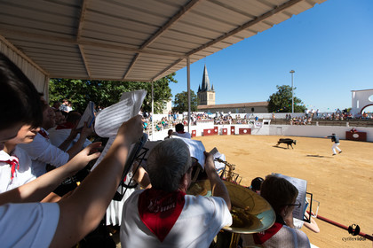 Saint-Cricq Chalosse course landaise de promotion Ganadéria Deyris Cuadrilla Jérémy Lafitte