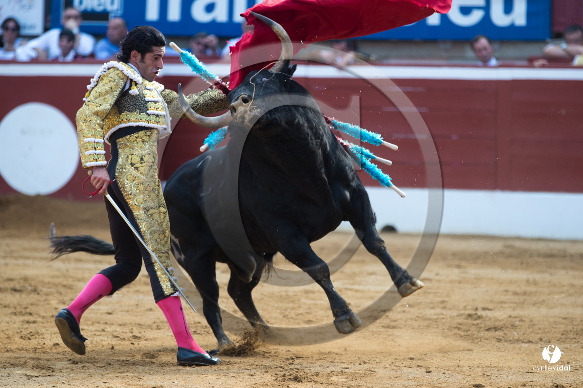 Mont-de-Marsan corrida de Jandilla pour Padilla - Talavante - Roca Rey