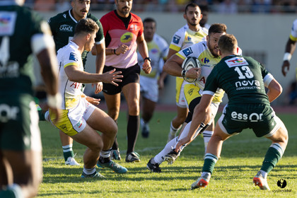 Stade Montois Rugby - Section Paloise