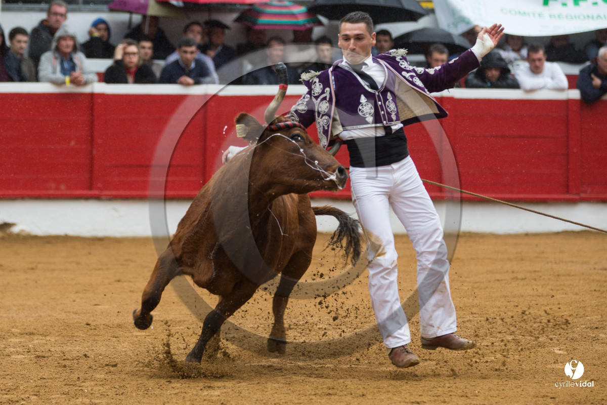 Nogaro Championnatde France de Course Landaise 2017