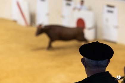 Horsarrieu course landaise du boléro d'Argent