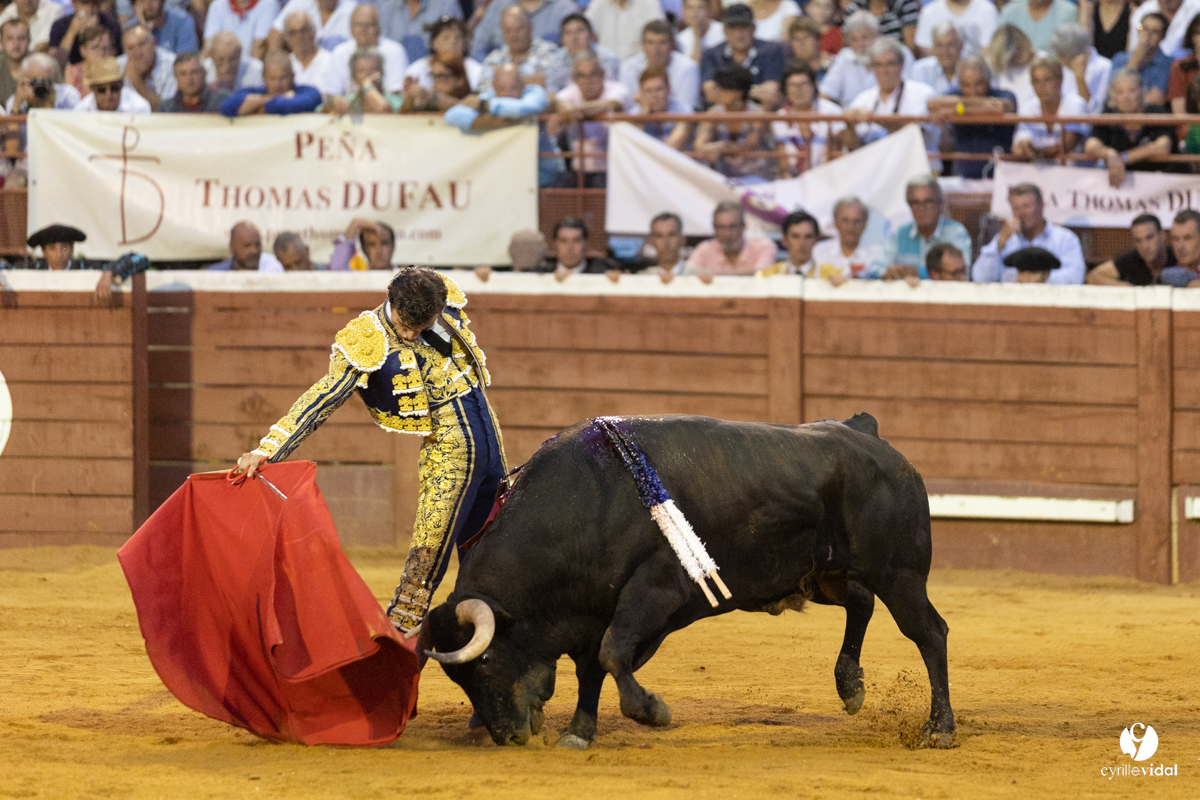 Corrida de Villeneuve-de-Marsan