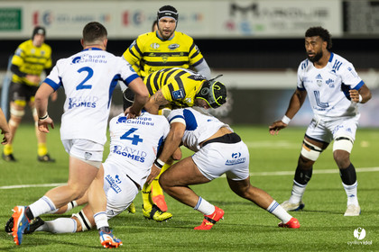 Stade Montois Rugby - Colomiers