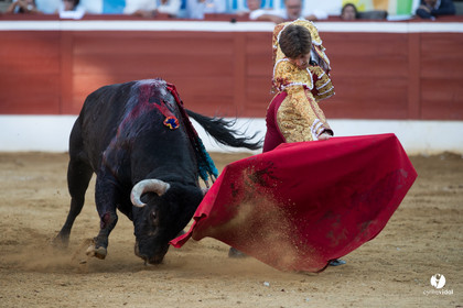 Mont-de-Marsan corrida de Dolores Aguirre pour Octavio Chacon - Pepe Moral - Juan Léal