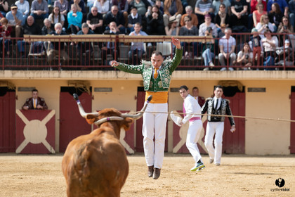 Course landaise Le Houga Ganadéria Dussau Cuadrilla Alexandre Brethes