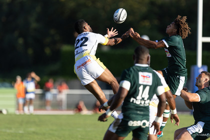 Stade Montois Rugby - Section Paloise
