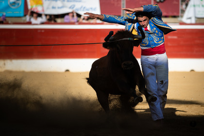 Mont-de-Marsan championnat de France de course landaise 2019