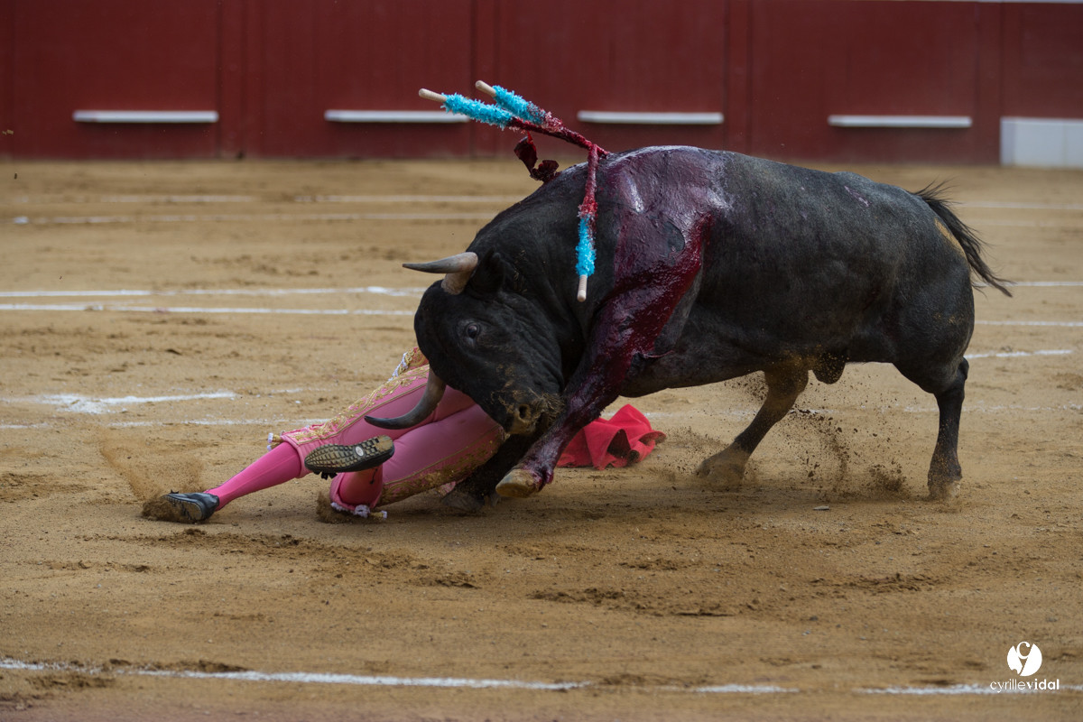 Mont-de-Marsan corrida d'Adolfo Martin