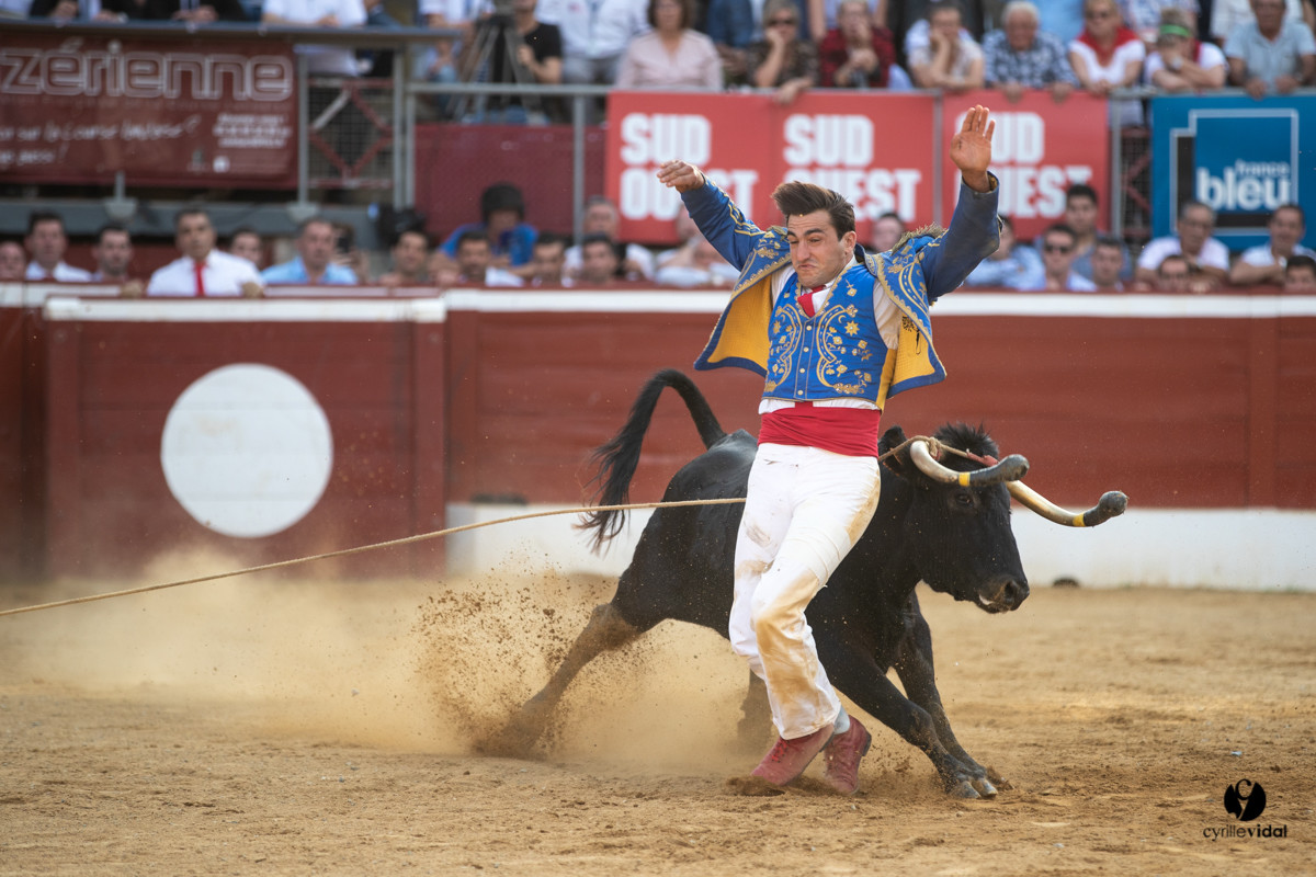 Mont-de-Marsan championnat de France de course landaise 2019