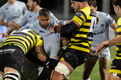 Stade Montois Rugby - Provence