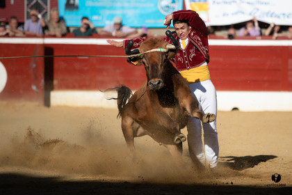 Mont-de-Marsan championnat de France de course landaise 2019