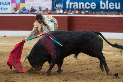 Mont-de-Marsan corrida de Garcigrande pour El Juli et Juan Bautista