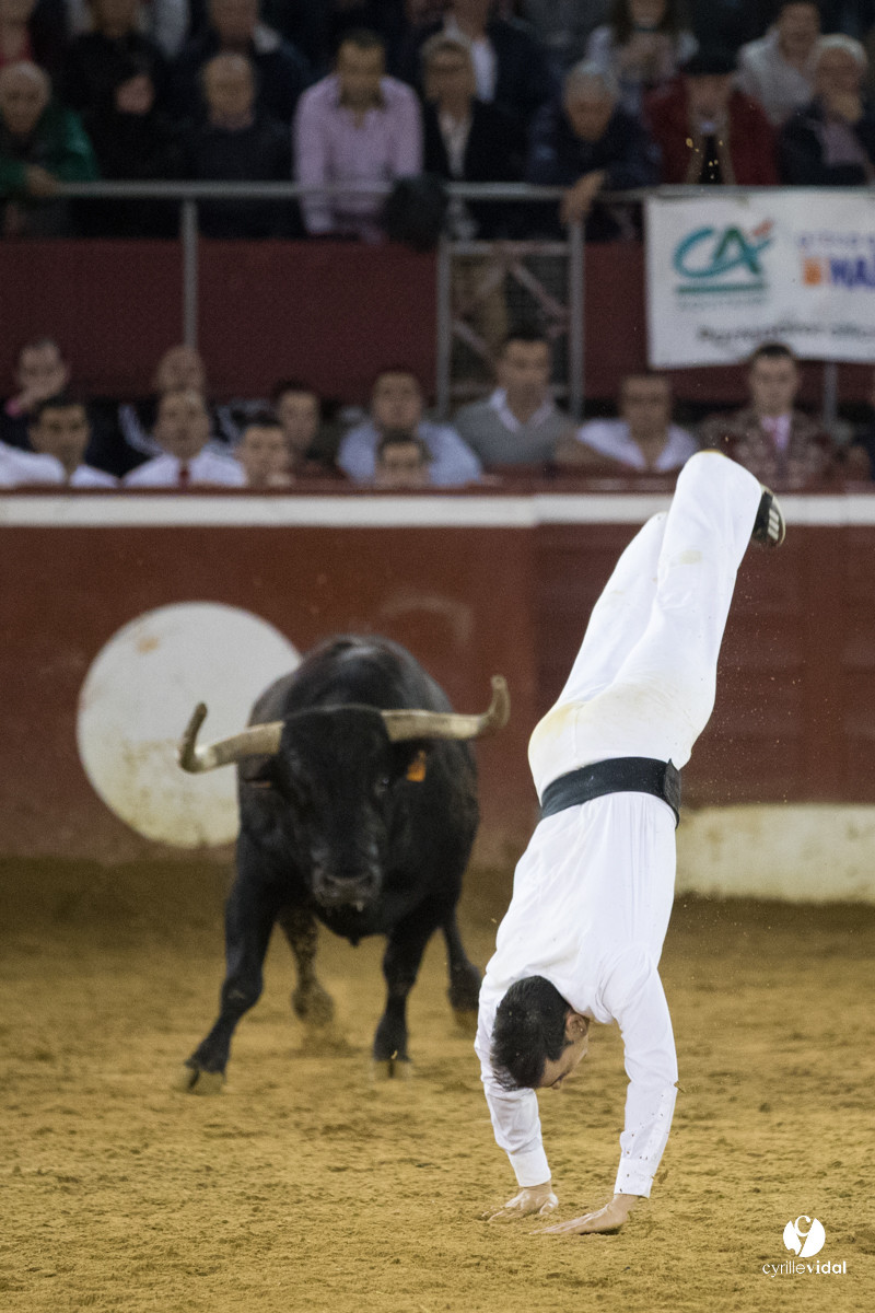 Mont-de-Marsan festival Art et Courage