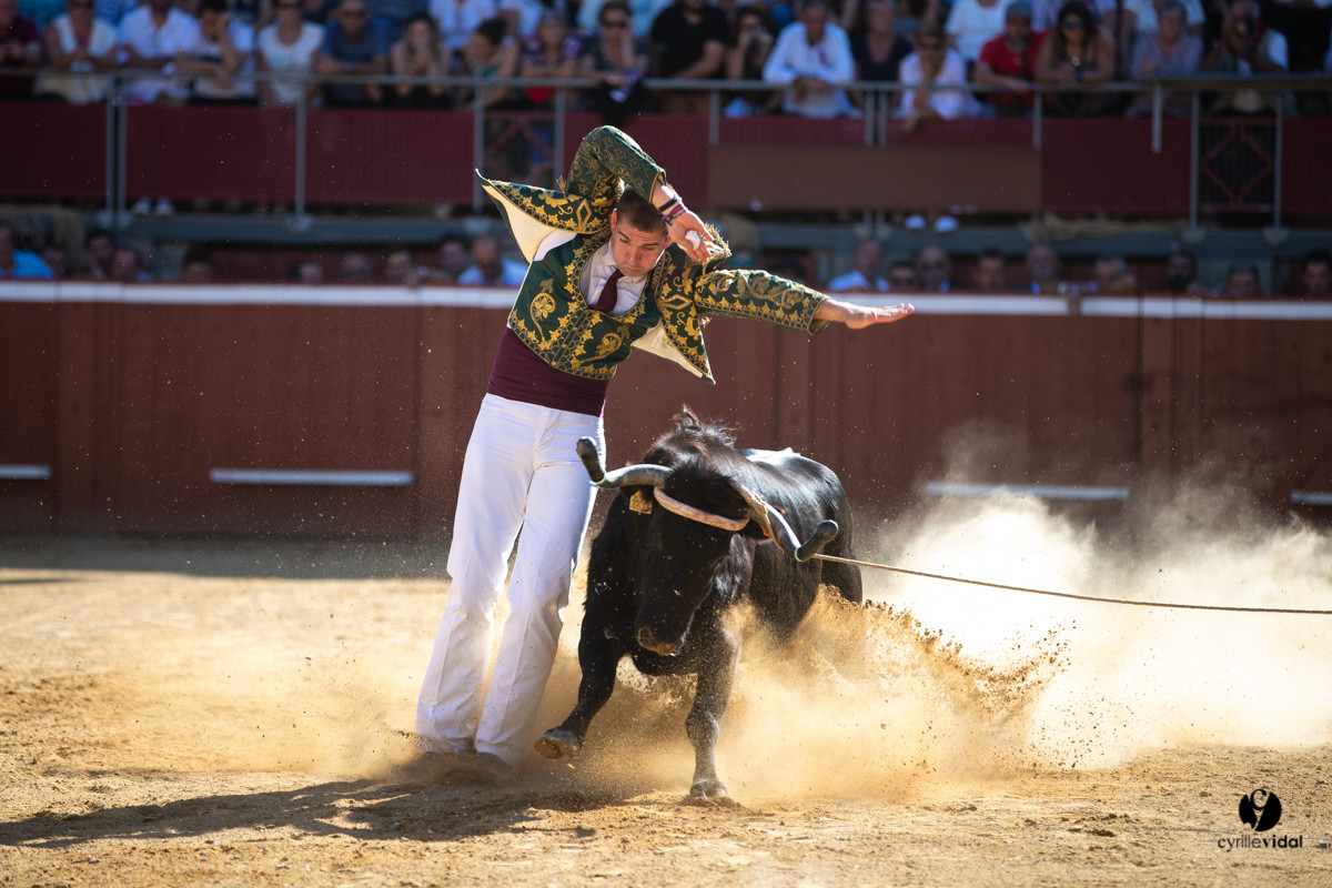 Mont-de-Marsan championnat de France de course landaise 2019