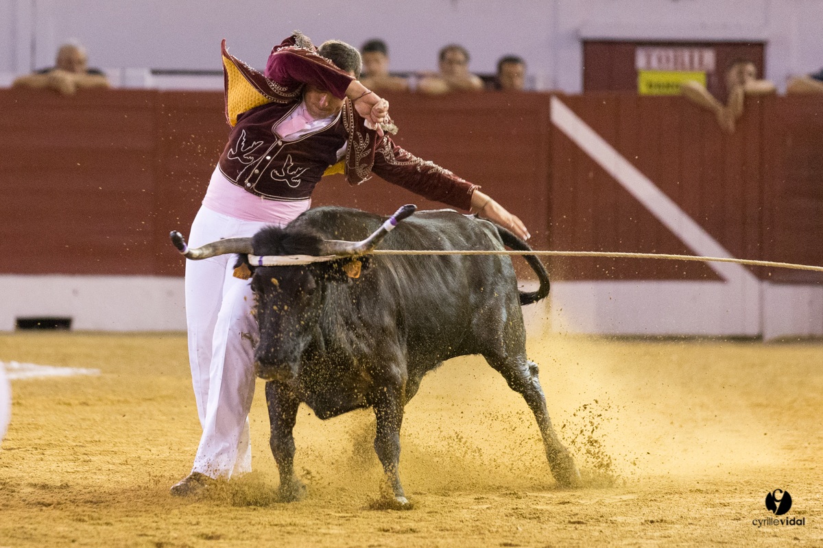 Aire sur l'Adour course landaise génération Aturine