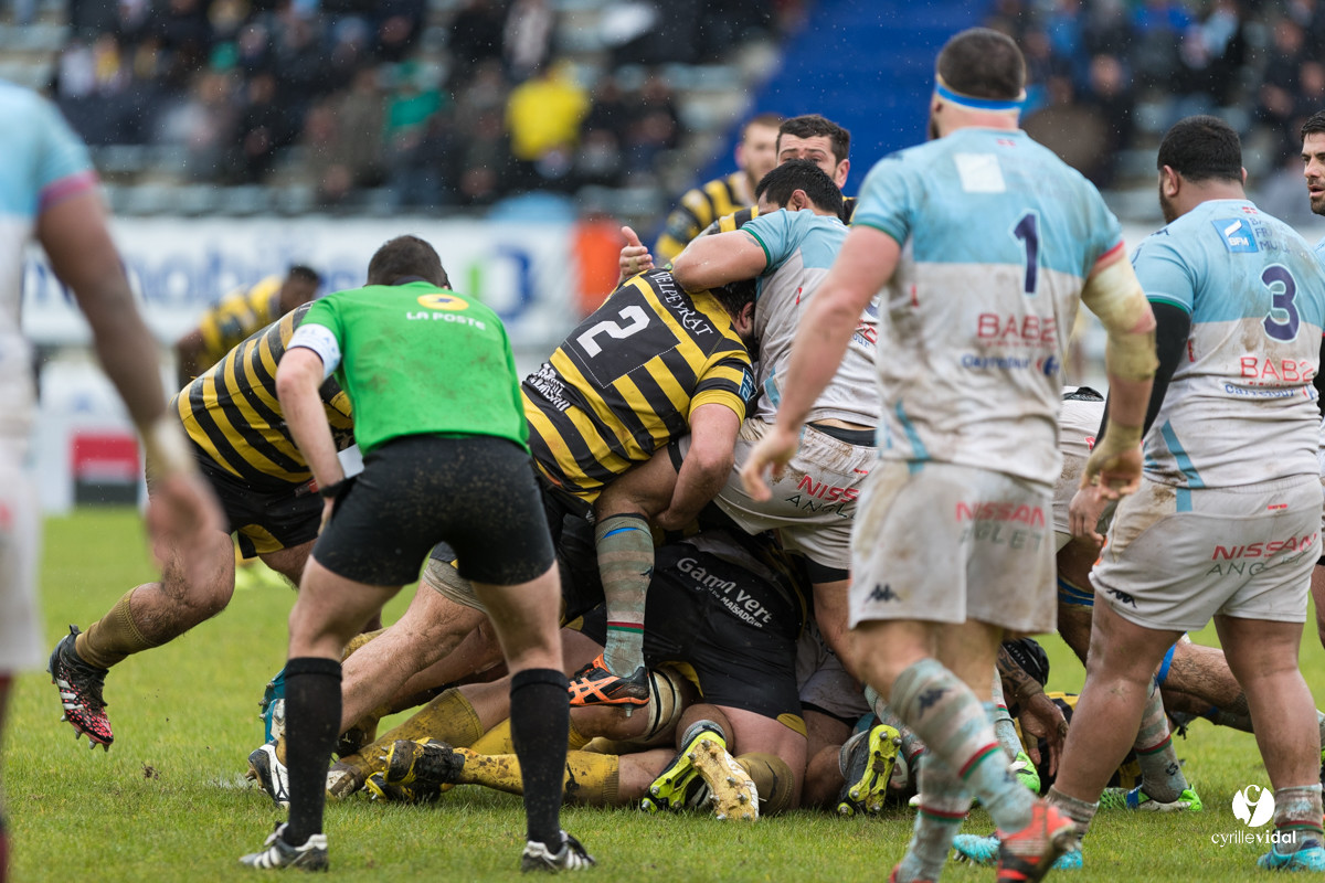 Bayonne - Stade Montois