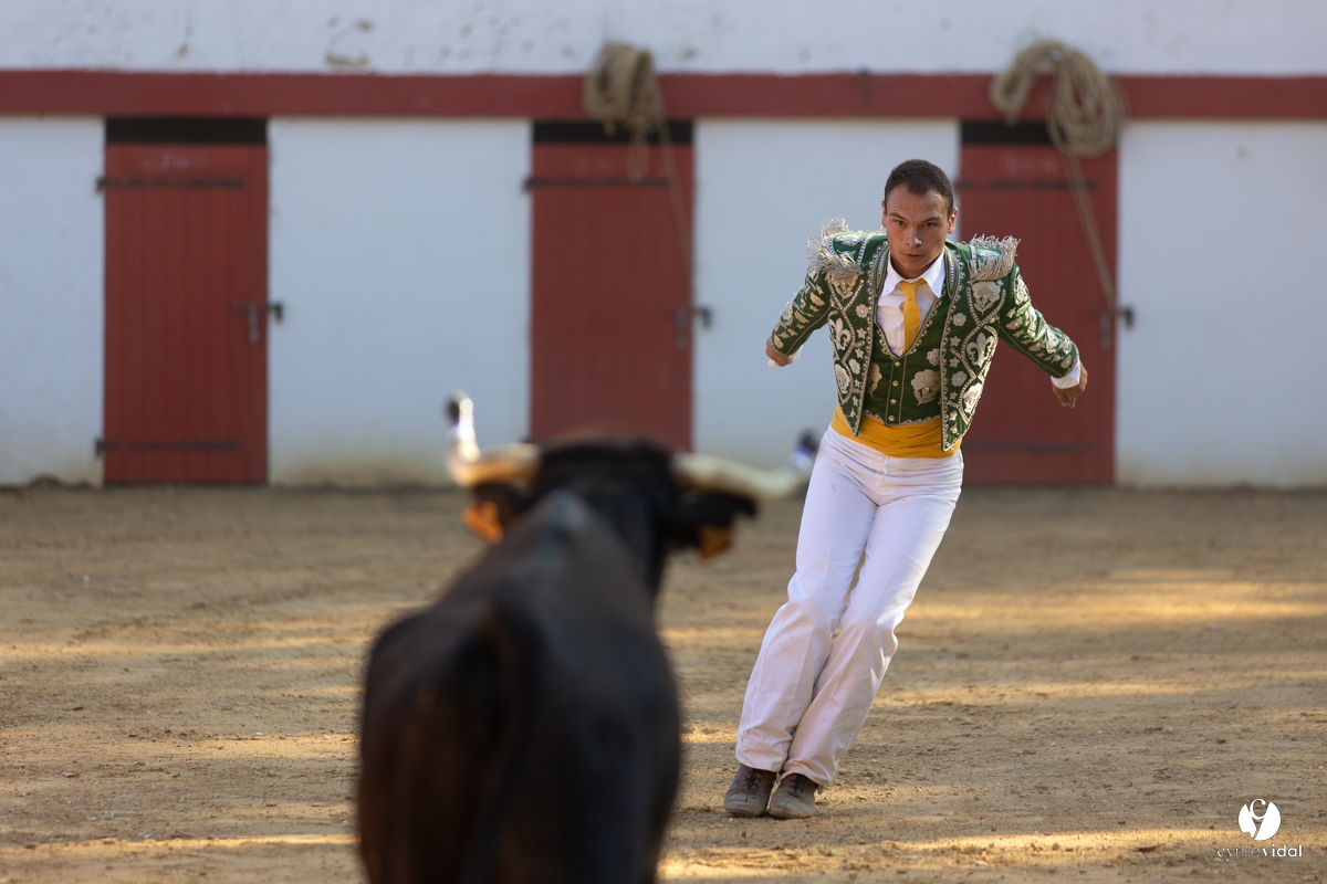 Course landaise à Panjas