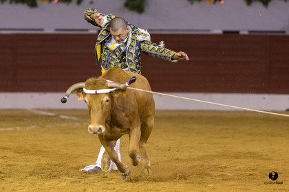 Aire sur l'Adour course landaise génération Aturine