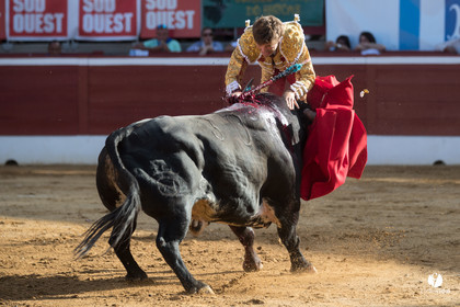 Mont-de-Marsan corrida de Dolores Aguirre pour Octavio Chacon - Pepe Moral - Juan Léal