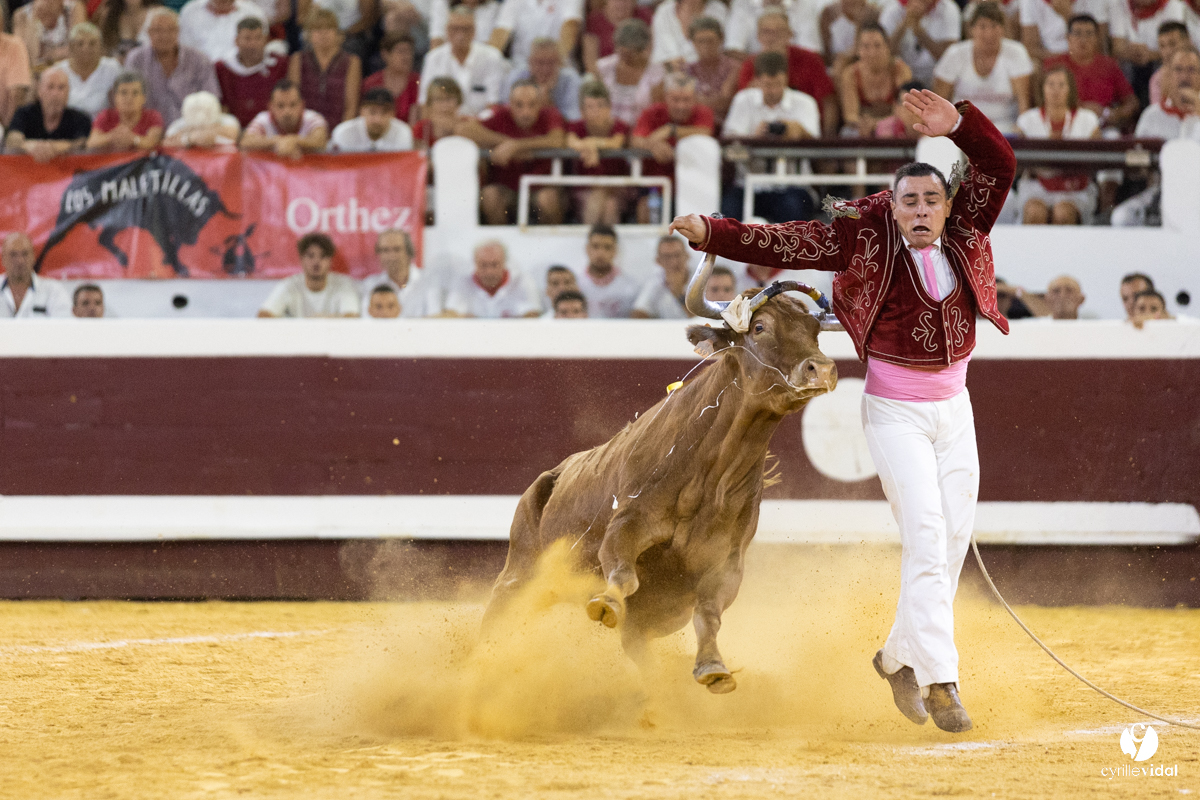 Dax concours landais 2022