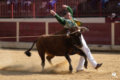 Course landaise Le Houga Ganadéria Dussau Cuadrilla Alexandre Brethes