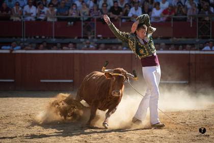 Mont-de-Marsan championnat de France de course landaise 2019
