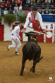 Nogaro Championnatde France de Course Landaise 2017