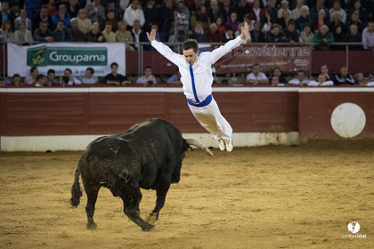 Mont-de-Marsan festival Art et Courage
