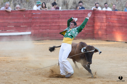 Course landaise à Panjas