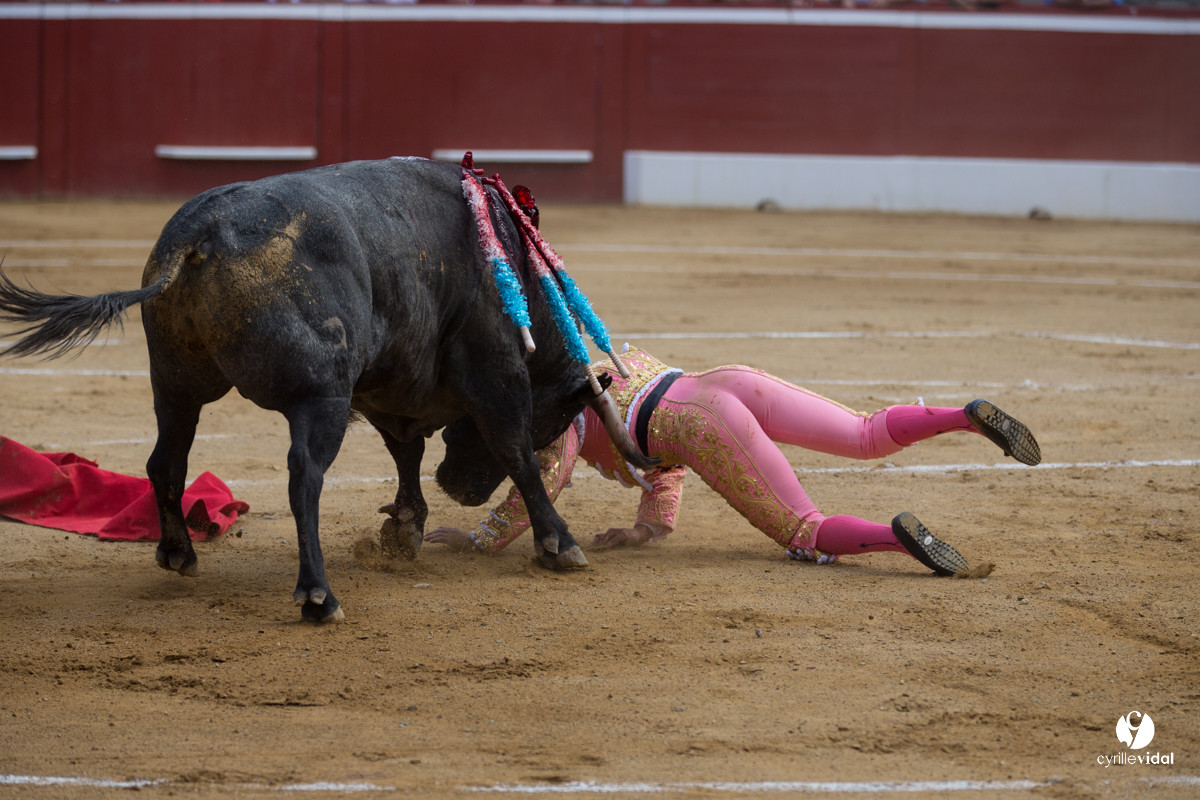 Mont-de-Marsan corrida d'Adolfo Martin