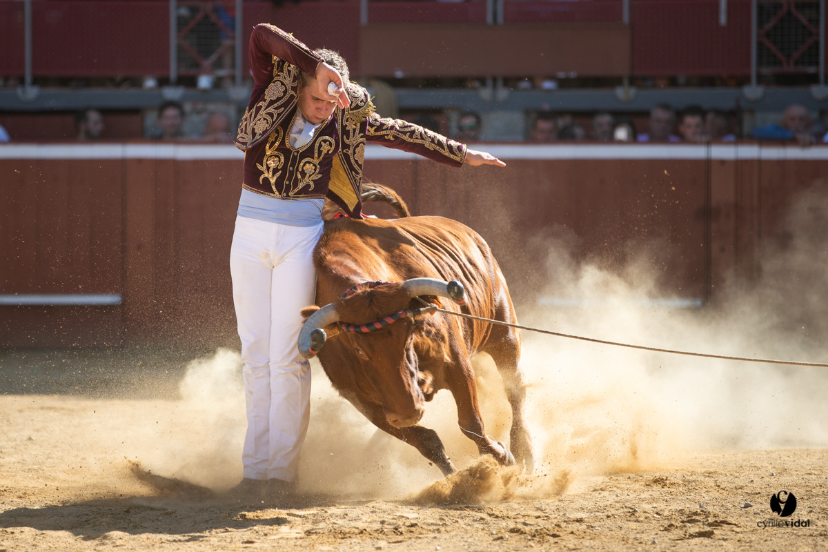 Mont-de-Marsan championnat de France de course landaise 2019