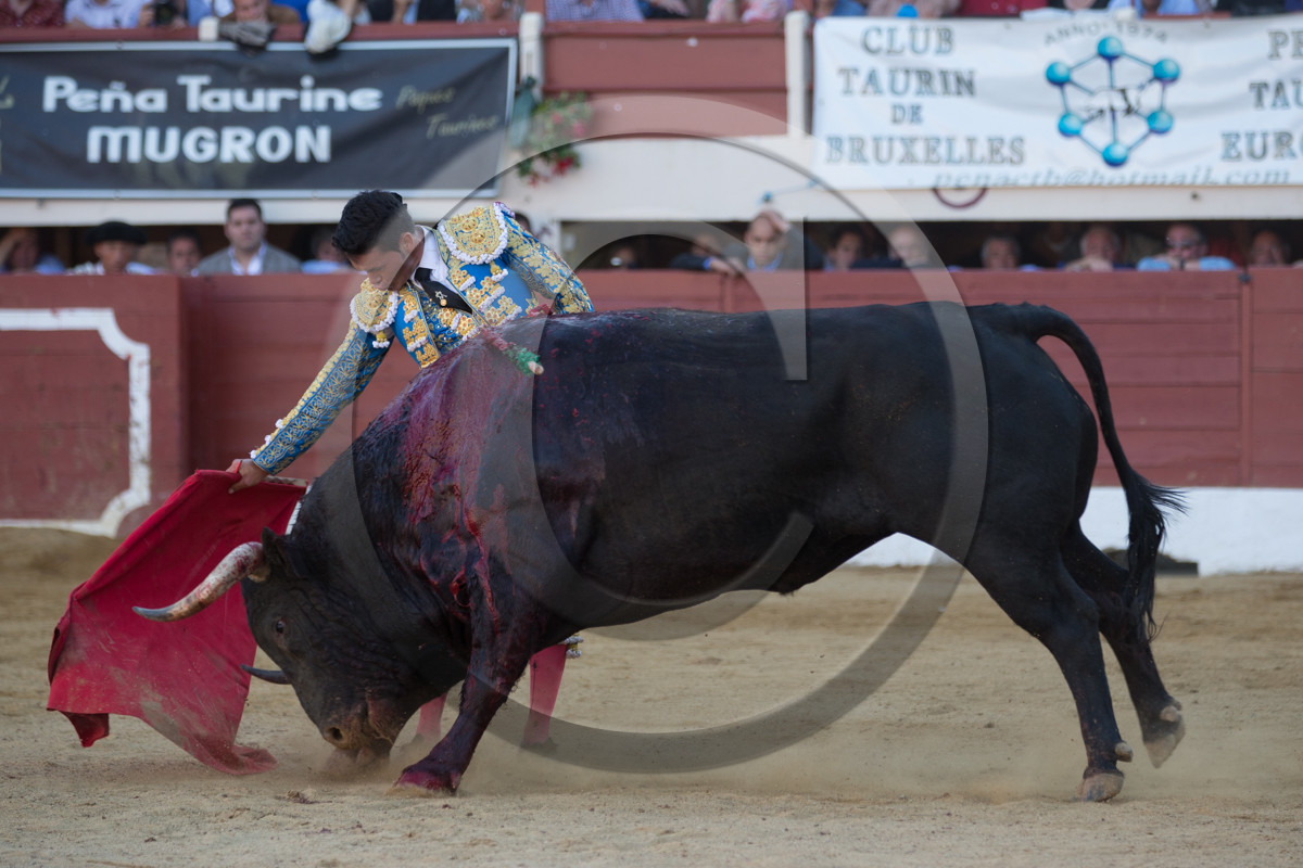 corrida, toro, vic fezensac, alcurrucen, michelito, morenito de aranda