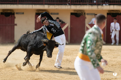 Course landaise Le Houga Ganadéria Dussau Cuadrilla Alexandre Brethes