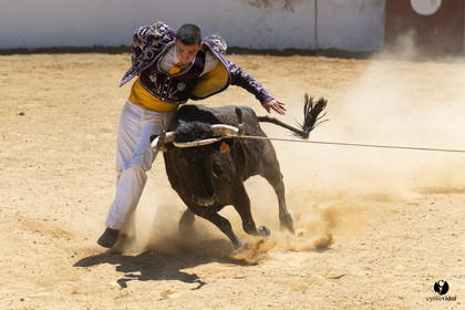 Saint-Cricq Chalosse course landaise de promotion Ganadéria Deyris Cuadrilla Jérémy Lafitte