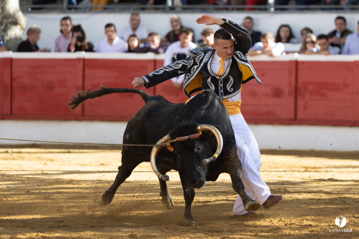 Nogaro Championnat de France de course landaise 2022