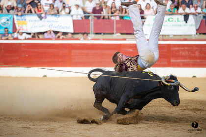 Mont-de-Marsan championnat de France de course landaise 2019
