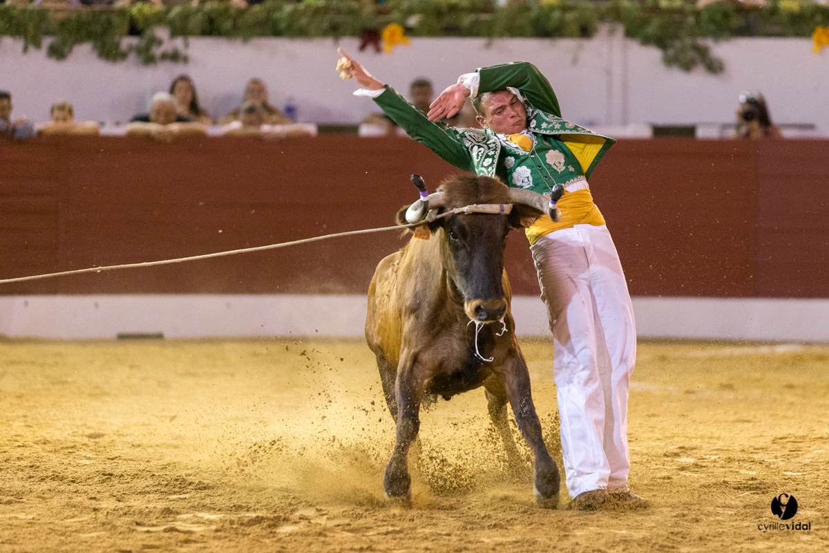 Aire sur l'Adour course landaise génération Aturine
