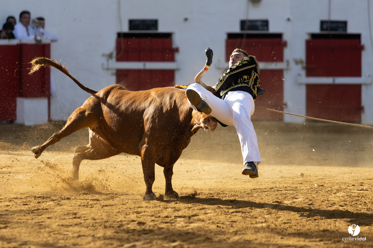 Nogaro Championnat de France de course landaise 2022