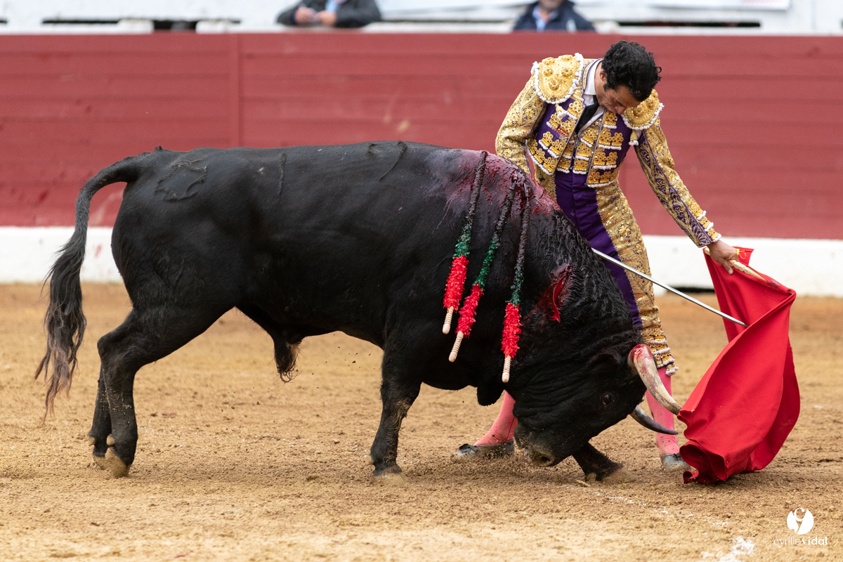 Corrida d'Aire sur l'Adour