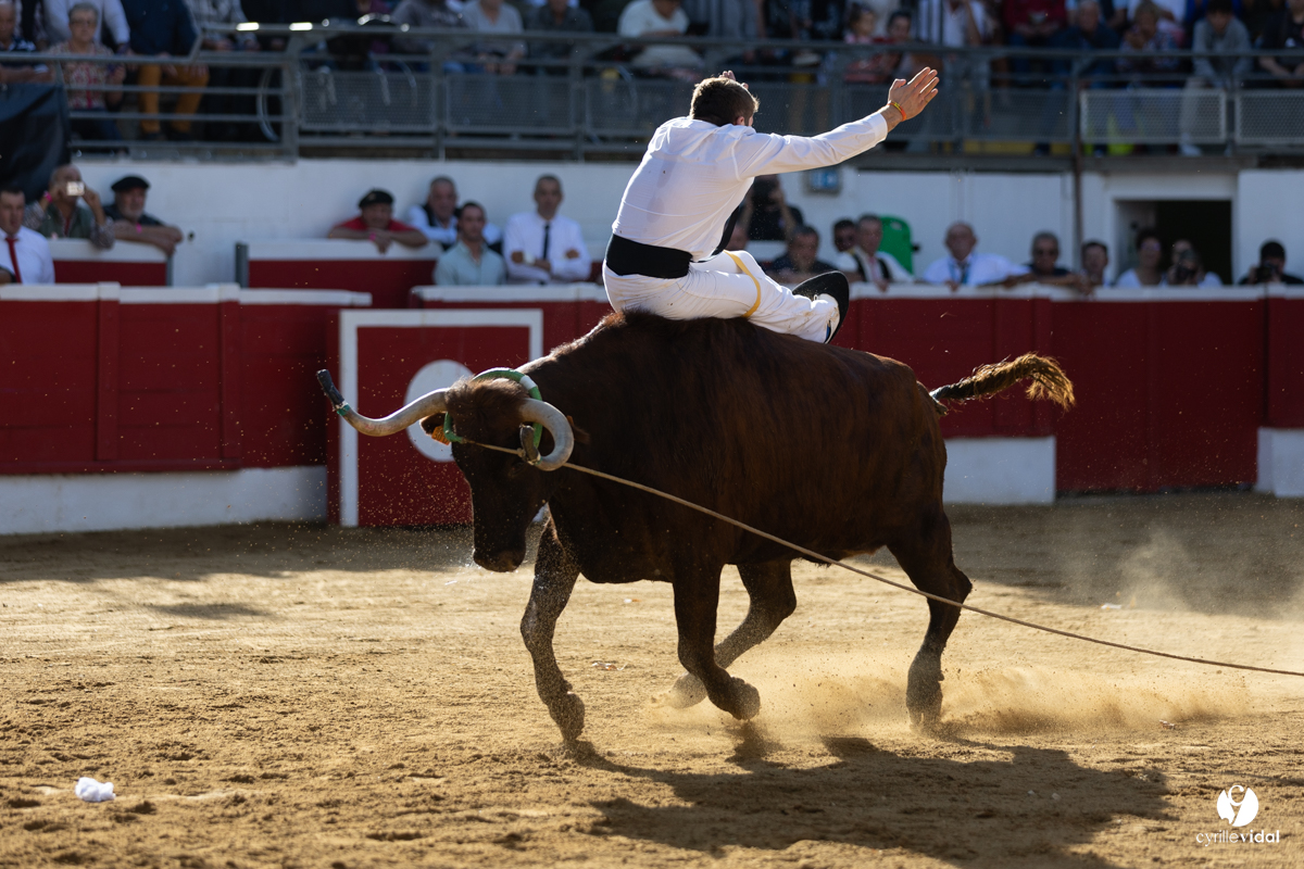 Nogaro Championnat de France de course landaise 2022