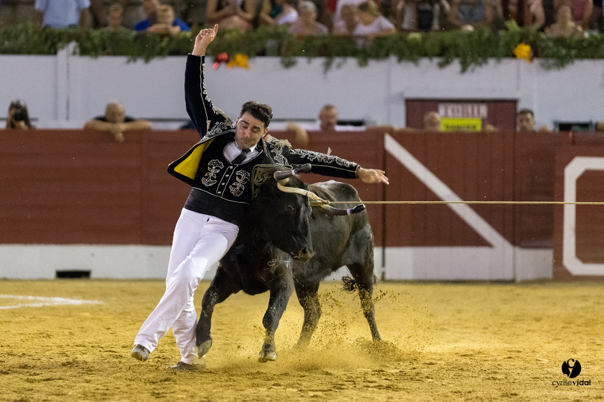 Aire sur l'Adour course landaise génération Aturine