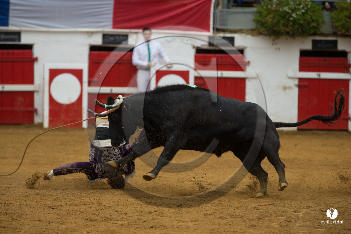 Nogaro Championnatde France de Course Landaise 2017