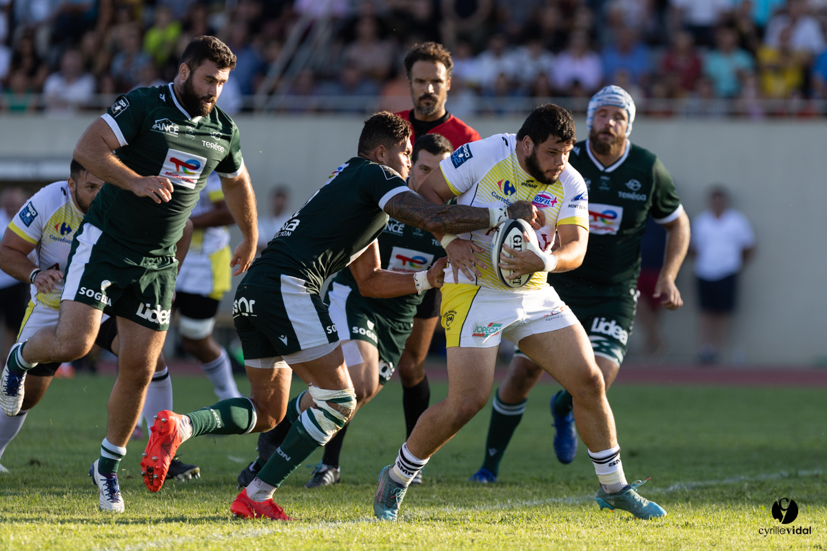 Stade Montois Rugby - Section Paloise